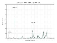 callampada_ 20191221_894_0.png