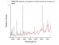 V443 Her.jpg (795.77 KiB) Visto 3224 volte V442 Her. Il continuo non segue bene il profilo della M5III di riferimento. segue