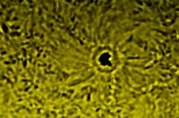 m2.jpg
