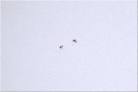 Sole 05sett2021 Celestron C8 f10, Canon 6D 60x un250s 100iso.jpg