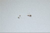 Sole 31dic2022 Celestron C8 f10, Canon 6D 95x un125s 100iso 12h21m .jpg