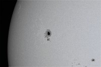 Sole 11ago2024 Celestron C8 f10, Canon 6D 113x un125s 100iso 08h45m .jpg
