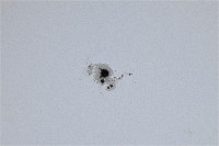 Sole 14ago2024 Celestron C8 f10, Canon 6D 122x un125s 100iso 08h49m .jpg