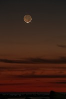 IMG_3236res.jpg