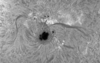 Il Sole in Ha con un ED103SWT e Quark Chromosphere 0.5A