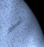135407_G_crop.jpg