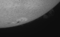 131530_G.jpg