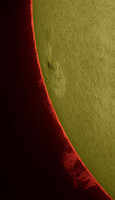 131614_29_color~2.jpg
