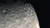 065446_L.jpg