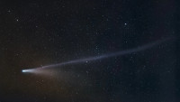 cometabella.jpg