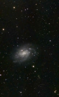 ngc300ridotta127m.jpg