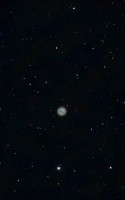 owl.jpeg