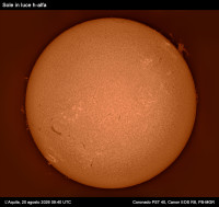 Sole in luce Ha 20 ago 2026.jpg