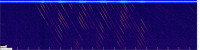Starlink.jpg