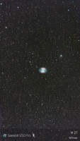 IMG_3503.jpeg