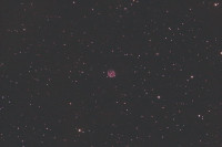 510xRAWcropISTOliv_GraXpertStarsFsharpen.jpg