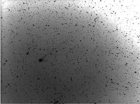 tessar zeiss 135 f4  sxv-h9 5 pose da 1 min bin 2x2