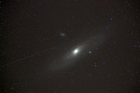 M31
