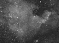 ngc7000_somma_2.jpg