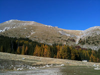 IMG_1782.jpg
