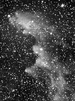 IC2118_vert_rid.jpg