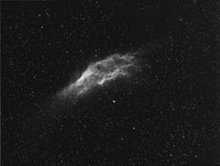 NGC1499 -Ob.Sonnar, filtro Halfa 7nm.somma 40 frames da 5'-27/02/2011- elaborazione un gran miscuglio.