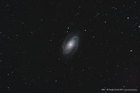 M81-1200.jpg