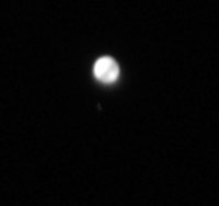 pic1.jpg