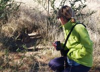 Marta e la lince...