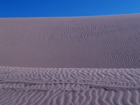 dune in riva al mare