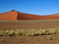 dune a Sossusvlei