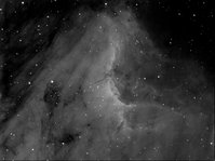 Pellicano con halfa Astrodon 7nm