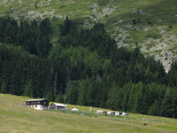 fv02.jpg