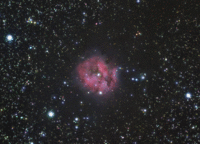 IC5146_blink.gif