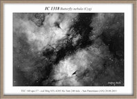 IC1318Butterfly_TEC_Ha_web.jpg