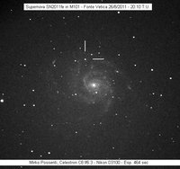M101_Mirko_26ago2011_text.jpg