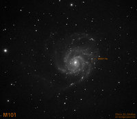 SN2011fe_2.jpg