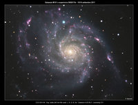 SN2011fe_M101.jpg