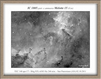 particolare dell'ammasso Melotte 15