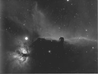 NGC 2023-2024 -Tec 110/6,5 su Losmandy G11- autoguida con MTO 6,5 e ccd MX5 - Camera Sbig 8300- filtro Halfa 7nm-60 frames da 240sec-Temp est. -4°C