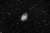 M1.jpg