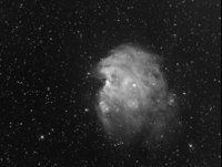 NGC2175.jpg
