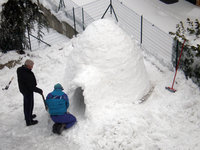 l'ossevaigloo