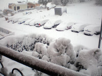 saluti dalla siberia...