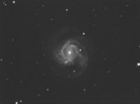 M61