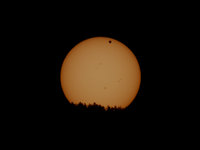 IMG_1302.jpg