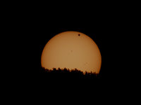 IMG_1297.jpg