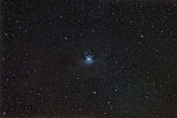 Iris Nebula