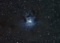 Iris Nebula