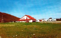 img001.jpg